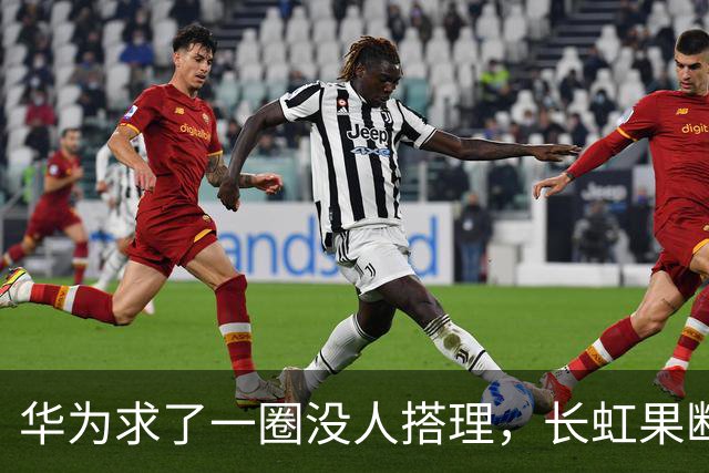 华为求了一圈没人搭理，长虹果断接盘